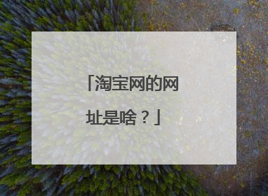 淘宝网的网址是啥?