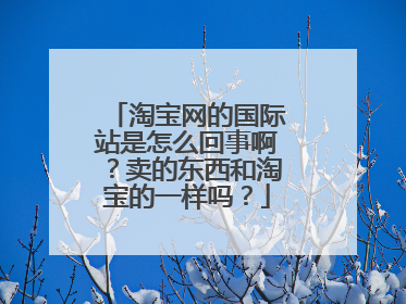 淘宝网的国际站是怎么回事啊?卖的东西和淘宝的一样吗?