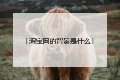 淘宝网的背景是什么