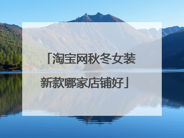 淘宝网秋冬女装新款哪家店铺好