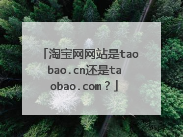 淘宝网网站是taobao.cn还是taobao.com?