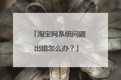 淘宝网系统问题出错怎么办?