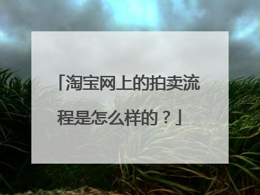 淘宝网上的拍卖流程是怎么样的?