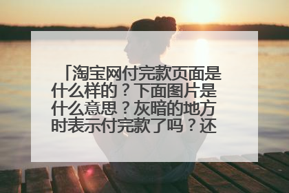 淘宝网付完款页面是什么样的?下面图片是什么意思?灰暗的地方时表示付完款了吗?还是怎么样啊????