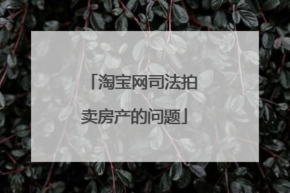 淘宝网司法拍卖房产的问题