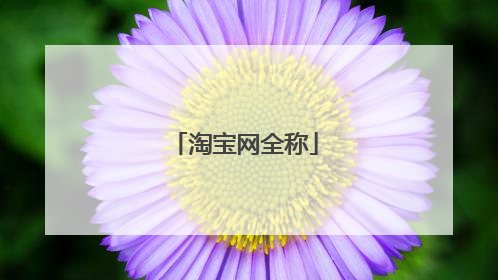 淘宝网全称