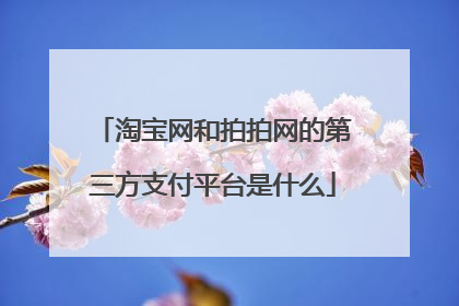 淘宝网和拍拍网的第三方支付平台是什么
