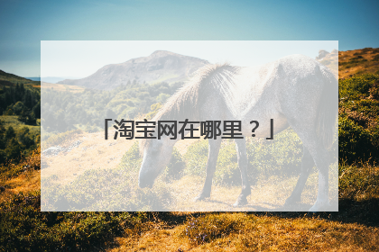 淘宝网在哪里?