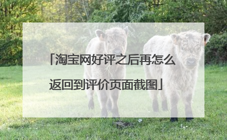 淘宝网好评之后再怎么返回到评价页面截图