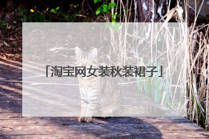 淘宝网女装秋装裙子