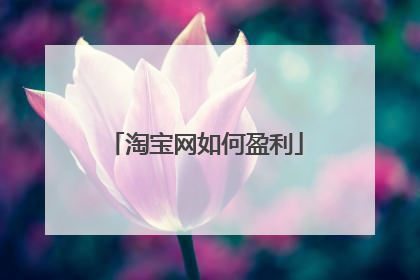 淘宝网如何盈利