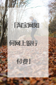 淘宝网如何网上银行付费