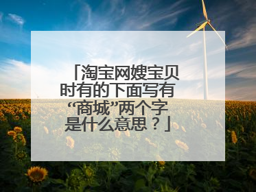 淘宝网嫂宝贝时有的下面写有“商城”两个字是什么意思?