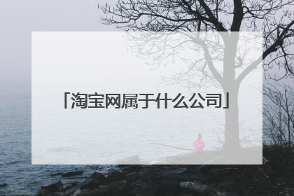 淘宝网属于什么公司