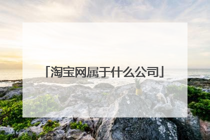 淘宝网属于什么公司