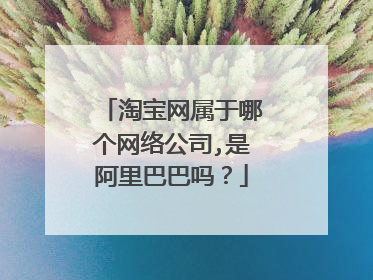 淘宝网属于哪个网络公司,是阿里巴巴吗？