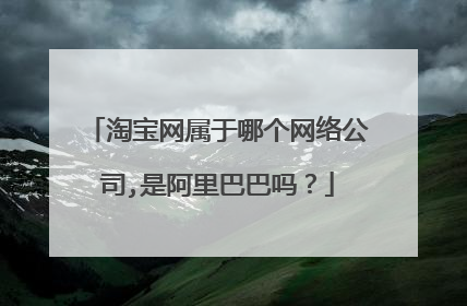 淘宝网属于哪个网络公司,是阿里巴巴吗？