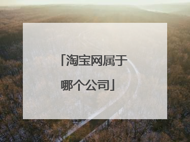 淘宝网属于哪个公司