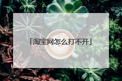 淘宝网怎么打不开