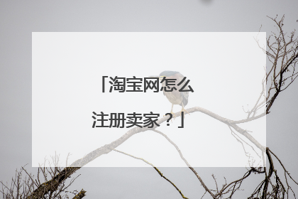 淘宝网怎么注册卖家？