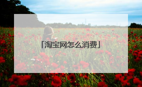 淘宝网怎么消费