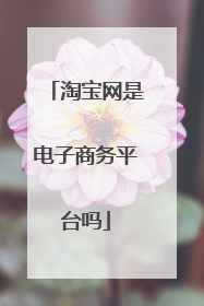 淘宝网是电子商务平台吗