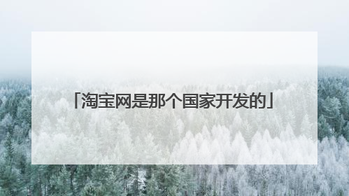 淘宝网是那个国家开发的