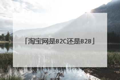 淘宝网是B2C还是B2B