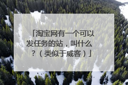 淘宝网有一个可以发任务的站,叫什么?(类似于威客)