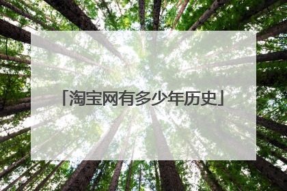 淘宝网有多少年历史
