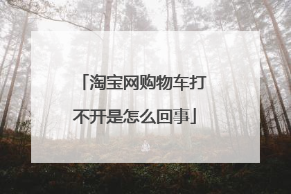 淘宝网购物车打不开是怎么回事