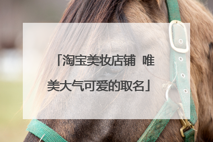 淘宝美妆店铺 唯美大气可爱的取名