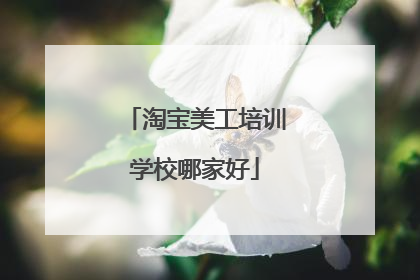淘宝美工培训学校哪家好