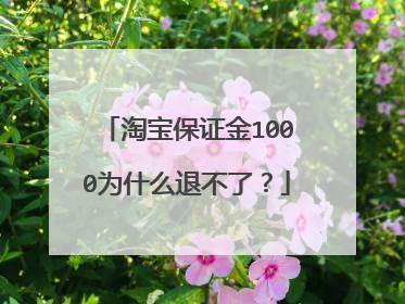 淘宝保证金1000为什么退不了?