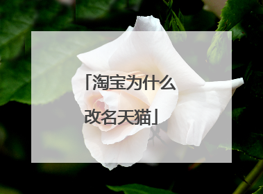淘宝为什么改名天猫