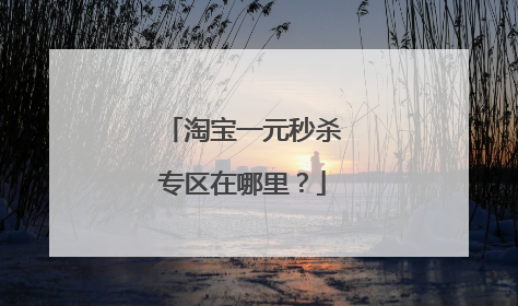 淘宝一元秒杀专区在哪里?