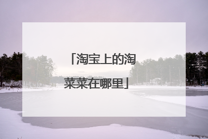 淘宝上的淘菜菜在哪里
