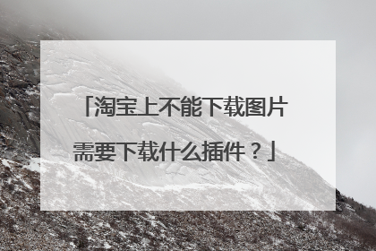 淘宝上不能下载图片需要下载什么插件?