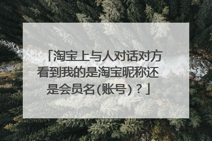 淘宝上与人对话对方看到我的是淘宝昵称还是会员名(账号)?