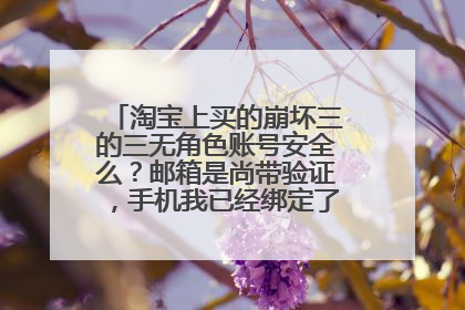 淘宝上买的崩坏三的三无角色账号安全么?邮箱是尚带验证,手机我已经绑定了,话说安全么