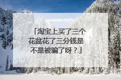 淘宝上买了三个花盆花了三分钱是不是被骗了呀?
