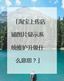 淘宝上传店铺图片显示系统维护升级什么意思？