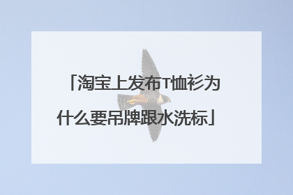 淘宝上发布T恤衫为什么要吊牌跟水洗标