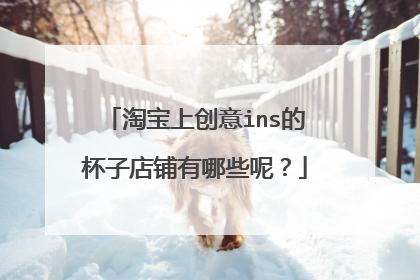 淘宝上创意ins的杯子店铺有哪些呢?