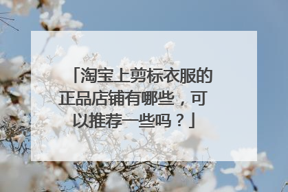 淘宝上剪标衣服的正品店铺有哪些,可以推荐一些吗?