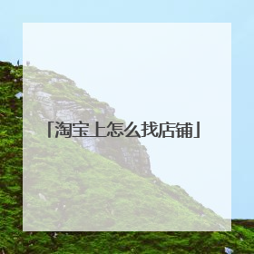 淘宝上怎么找店铺