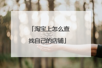 淘宝上怎么查找自己的店铺