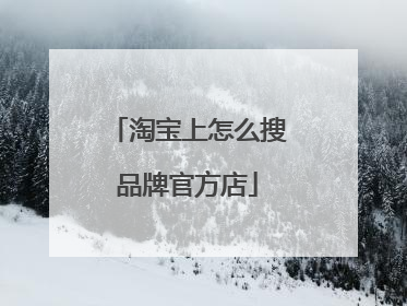 淘宝上怎么搜品牌官方店