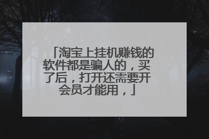 淘宝上挂机赚钱的软件都是骗人的,买了后,打开还需要开会员才能用,