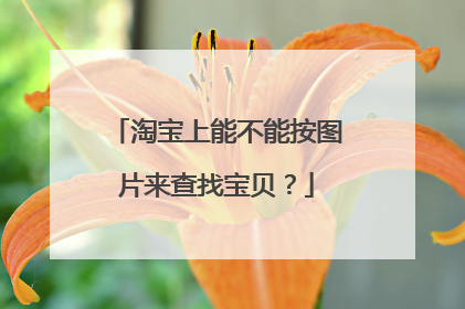 淘宝上能不能按图片来查找宝贝?